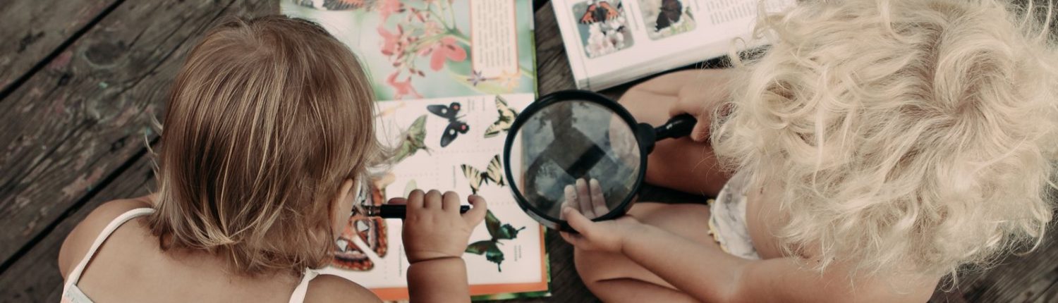 Girls Science Book